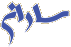 انتخابات سارن